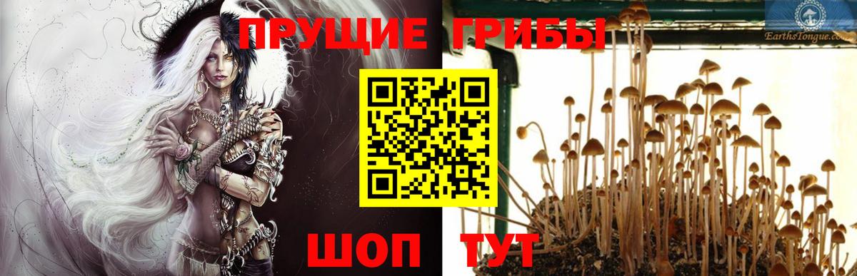 Галлюциногенные грибы Cubensis Ярославль